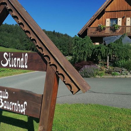 הוילה Neudorf im Sausal Am Jaukhof Familie Stiendl מראה חיצוני תמונה